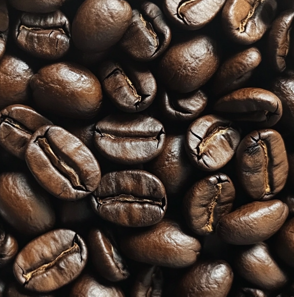 The Complete Coffee Roast Level Guide — Light, Medium, and Dark Explained