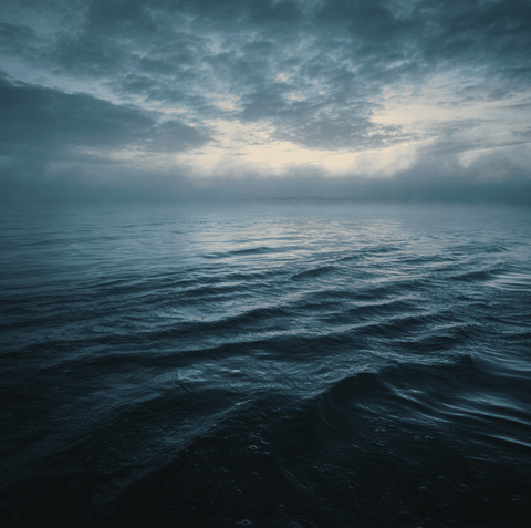 The Lake Erie Bessie Mystery: America’s Own Loch Ness Monster Explained