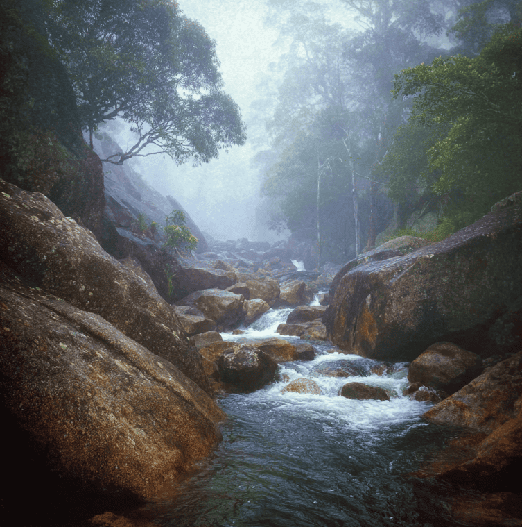 Rainforest viewpoint overlooking Australia’s Devil’s Pool, with rushing water over granite boulders and a faint ghostly presence in the mist.