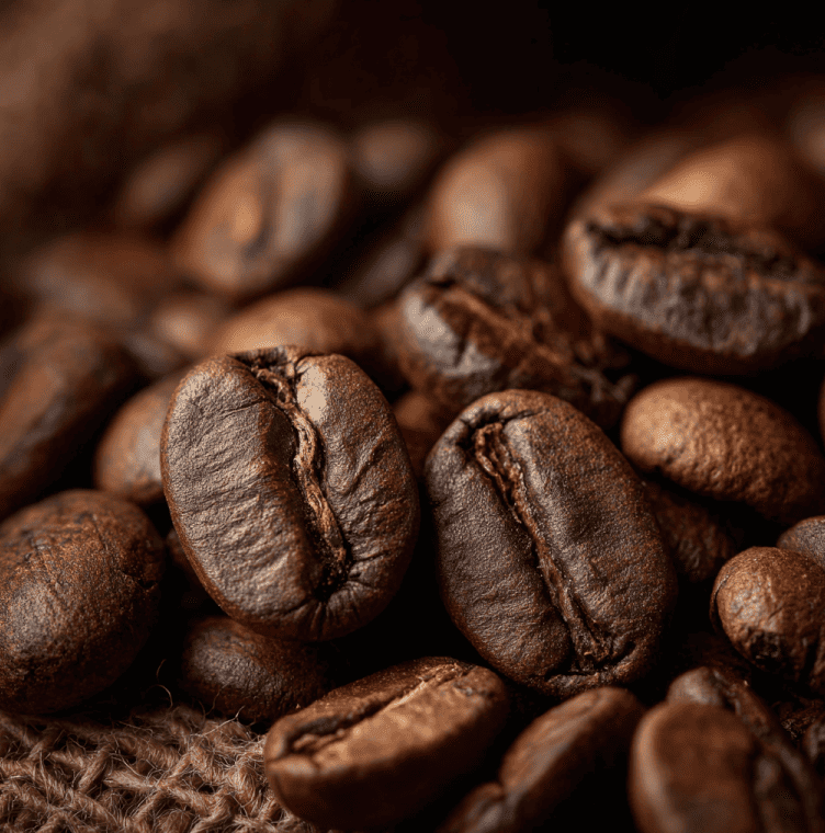 Roasted coffee beans up close