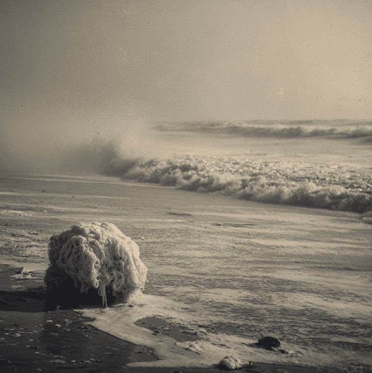 White globster-like mass washed ashore on a South African beach, inspired by the 1924 Trunko incident.