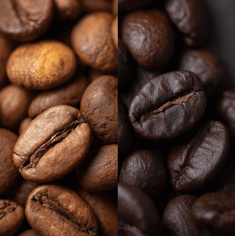 Macro image comparing dense light-roast beans and porous dark-roast beans to illustrate differences in caffeine solubility.