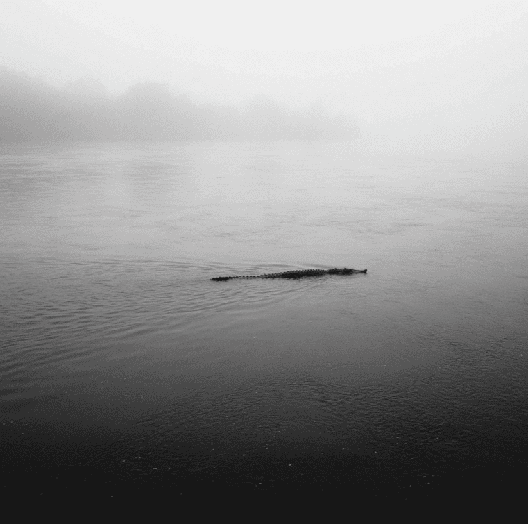 Elongated dark creature gliding on a calm Laotian river, representing the River-Skimmer Beast said to move across water without sinking.