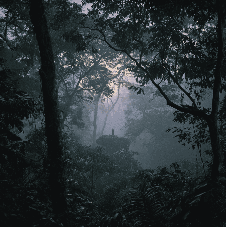 Shadowy primate-like figure standing in the Bukit Timah rainforest at dusk