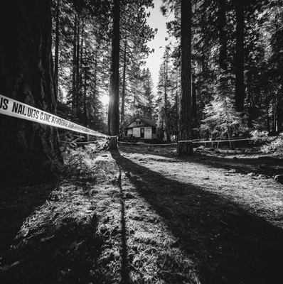 Dark forest clearing with faint police tape representing the unsolved Keddie Cabin murders of 1981.