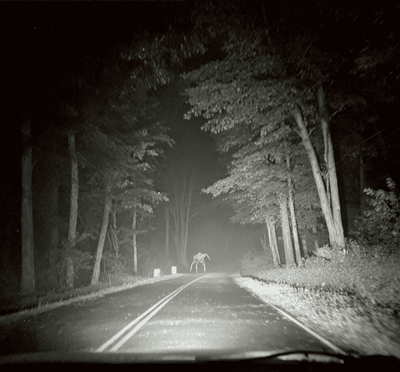 Dashcam-style scene showing a frog-like humanoid figure on a dark Ohio road, referencing the Loveland Frogman sighting