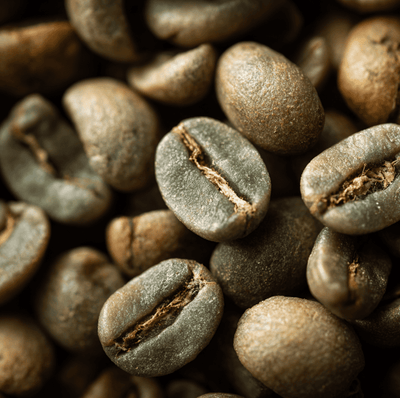 Green coffee beans passing through a multispectral sorting machine detecting chemical signatures invisible to the human eye.