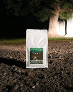Headcount Coffee Mothman’s Mug medium roast organic coffee bag from Texas coffee roastery at night.