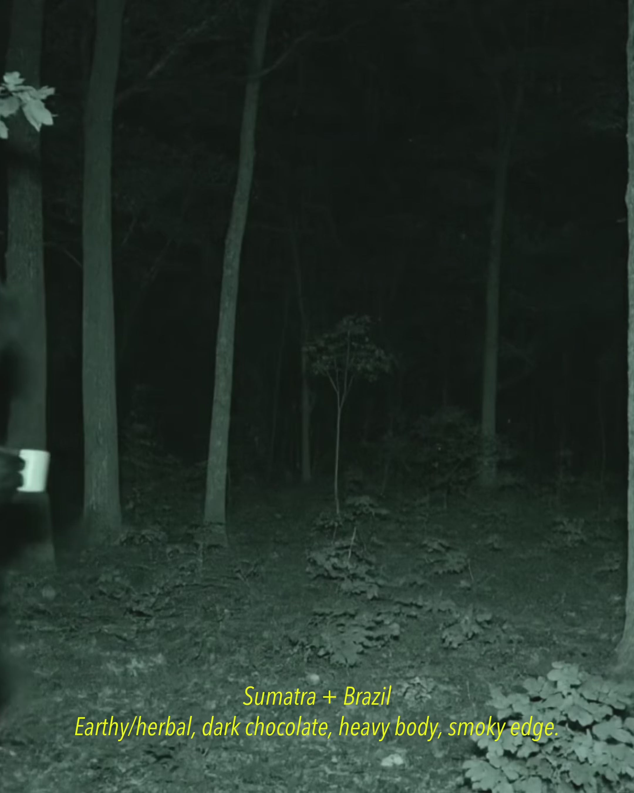 Bigfoot's Brew