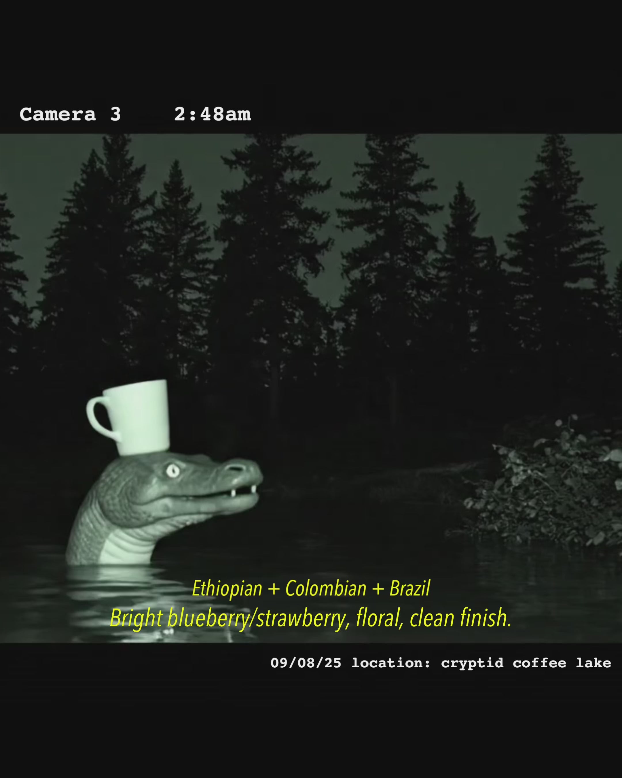 Nessy coffee video with cup on head in lake at night, promoting Headcount Coffee light roast from Texas roastery.